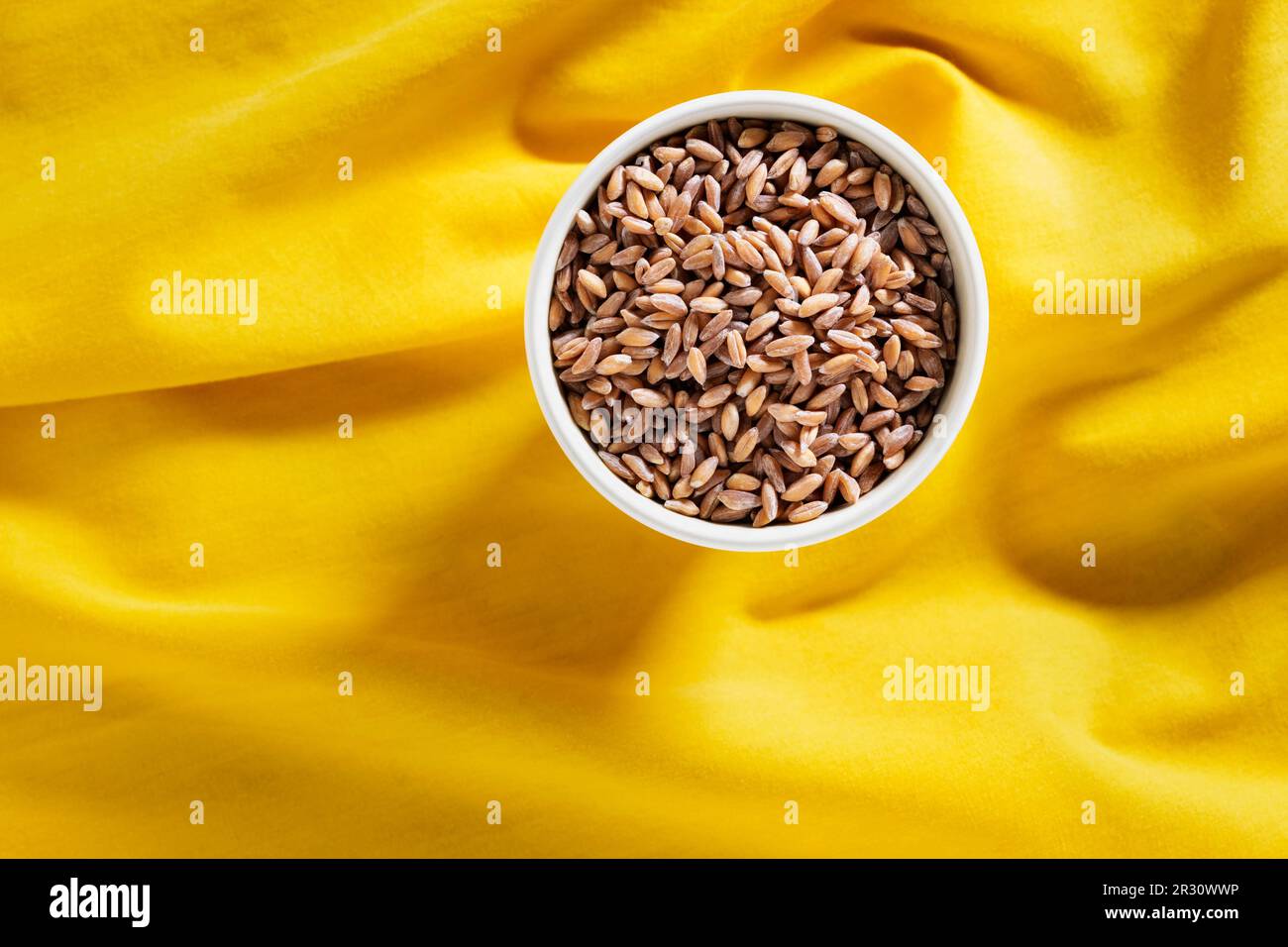 Roher Dinkel in der Schüssel auf farbigem Hintergrund, Getreidekörner, Stockfoto