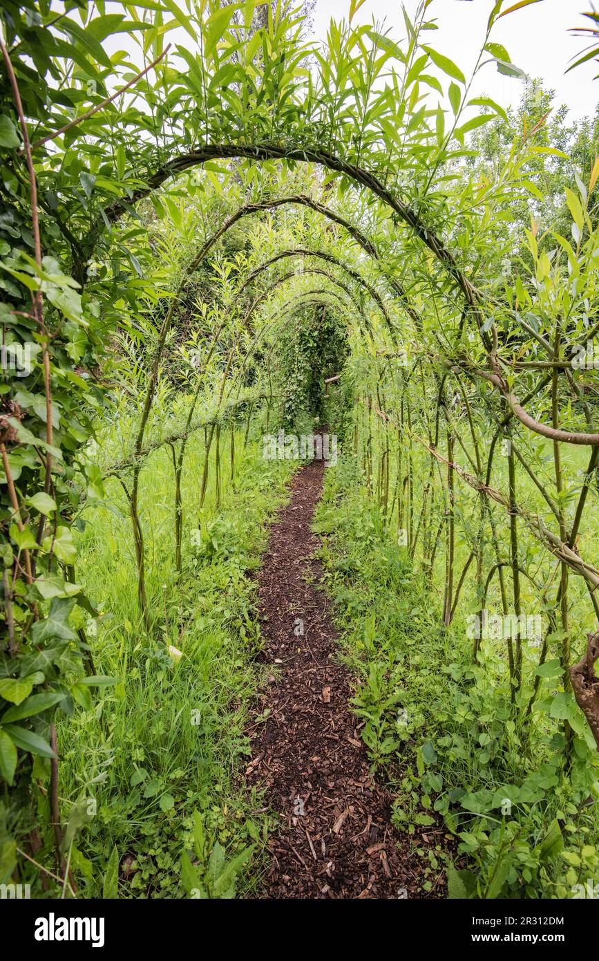 Gewobene lebende Weide im Samarès Manor Vingtaine de Samarès, in der Gemeinde St. Clement in Jersey, Stockfoto