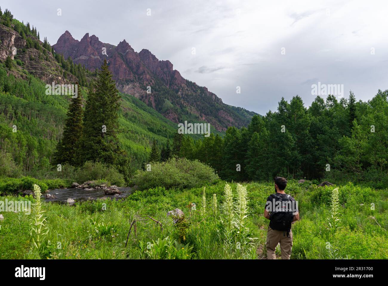 Ein Mann, der im Sommer auf den Berg in Aspen Colorado blickt Stockfoto