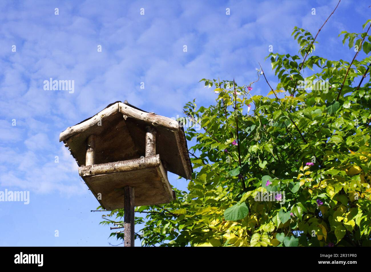 Das Vogelhaus Stockfoto
