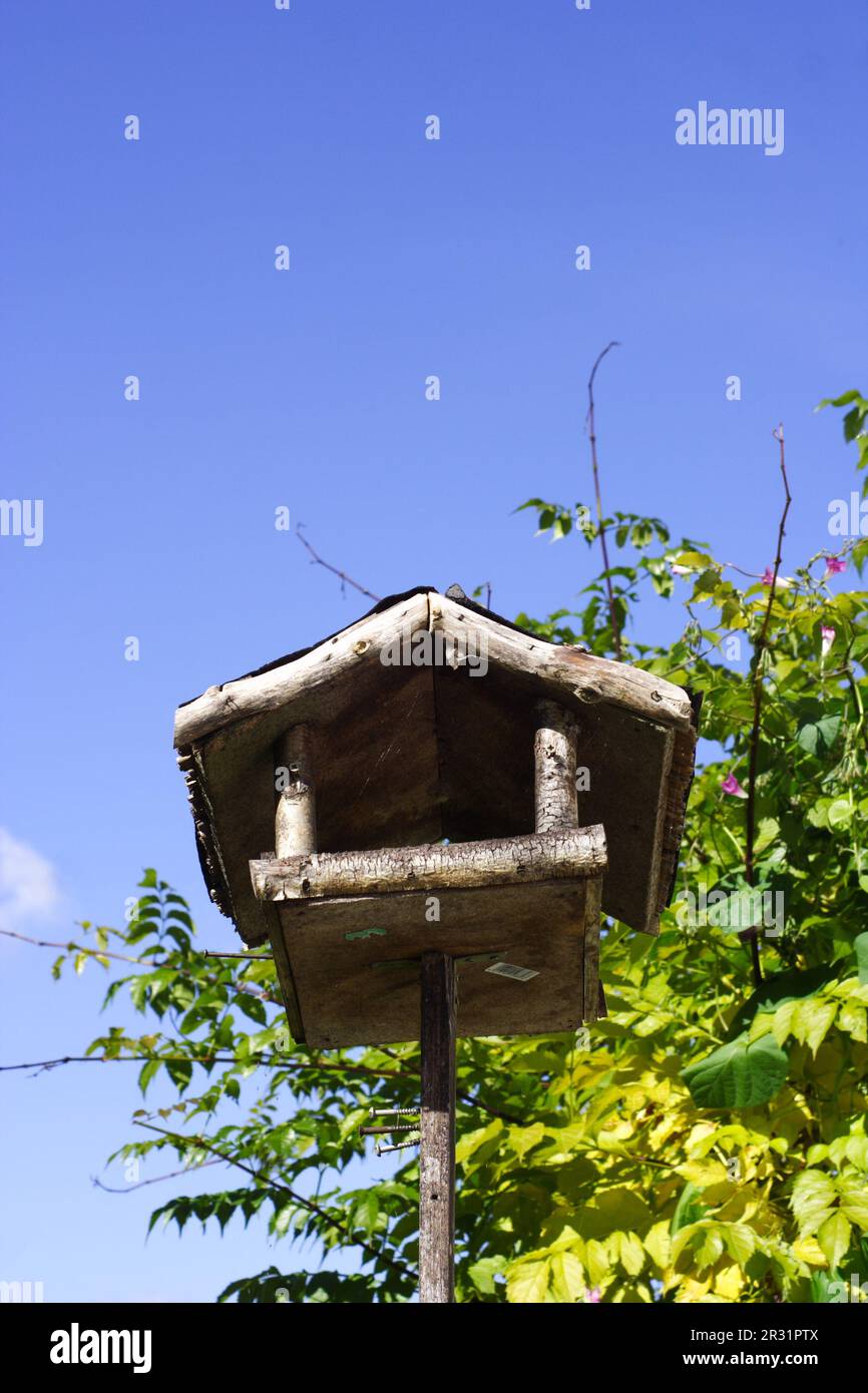 Das Vogelhaus Stockfoto