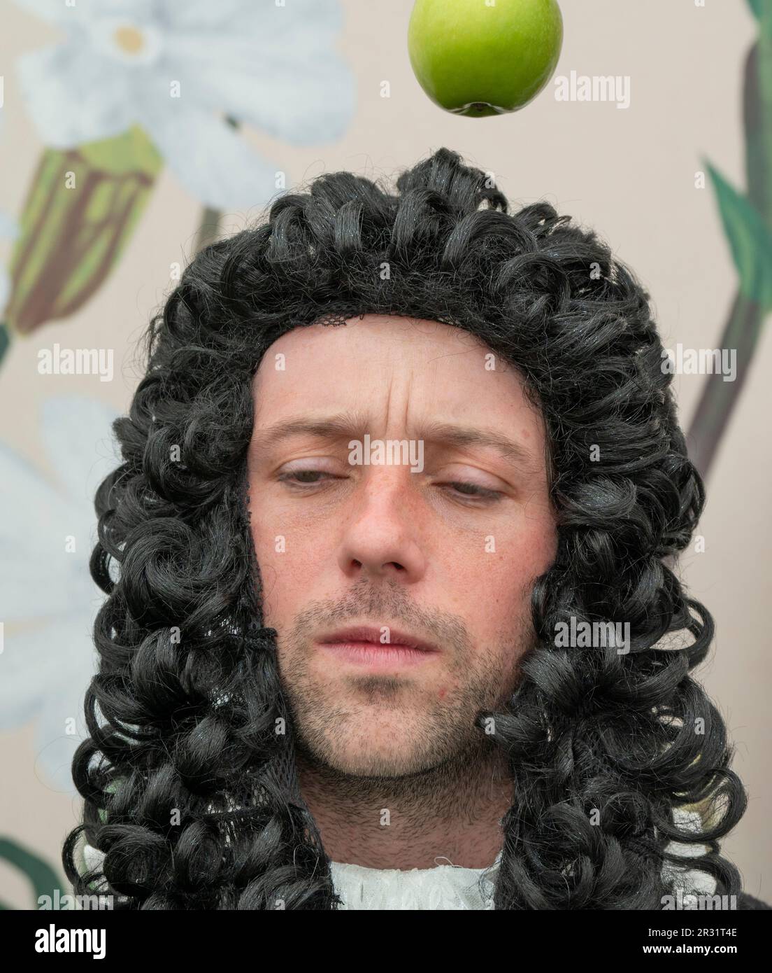 Royal Hospital Chelsea, London, Großbritannien. 22. Mai 2023. Im Großen Pavillon steht die Zusammenarbeit zwischen Blue Diamond und National Trust. Sir Isaac Newton und der berühmte Apfel erklären, wie ein Setzbaum aus dem ursprünglichen Baum gezüchtet wurde, in dem Newton angeblich seine Ideen zur Schwerkraft hervorgebracht hat. Kredit: Malcolm Park/Alamy Live News Stockfoto