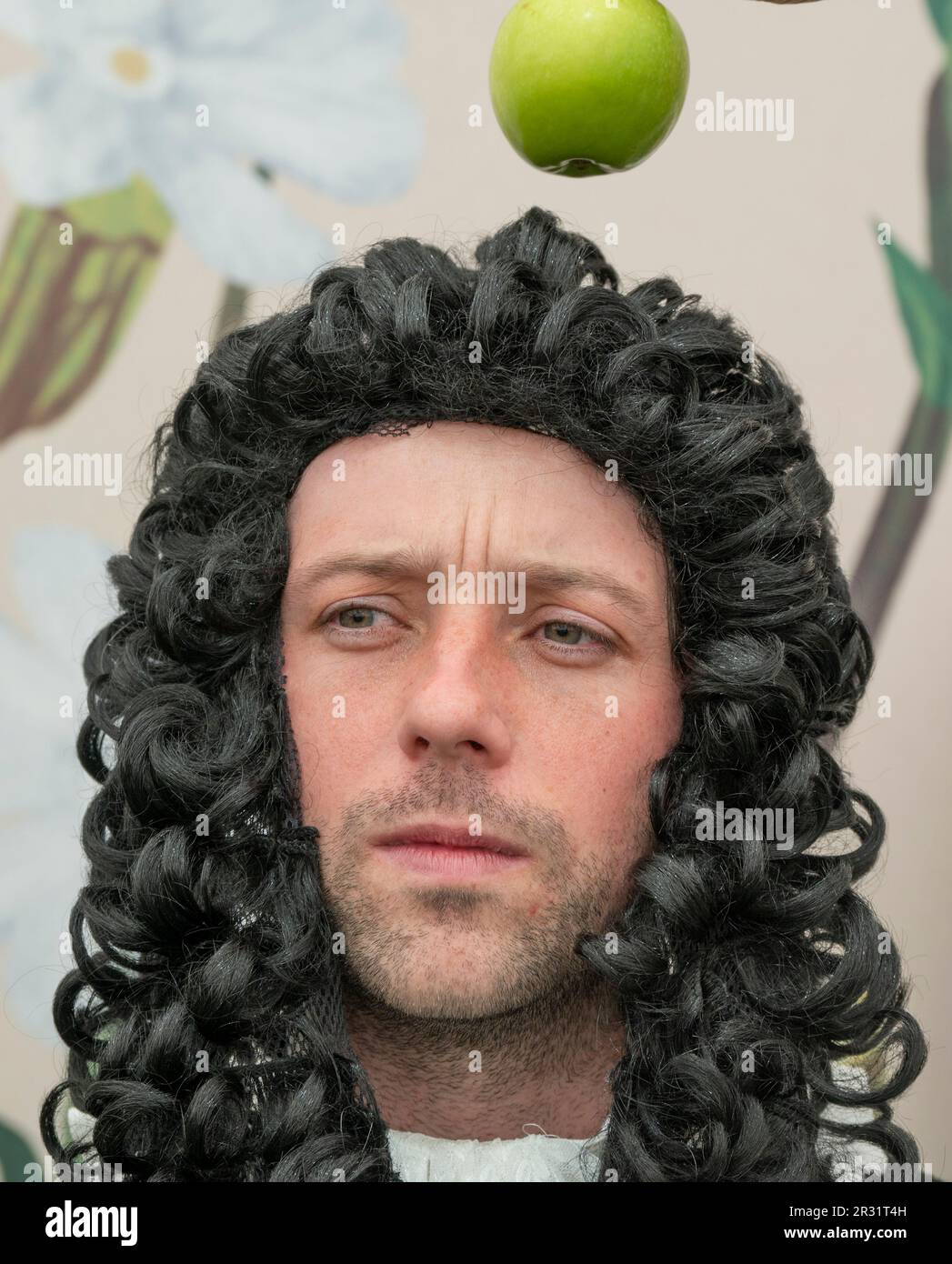 Royal Hospital Chelsea, London, Großbritannien. 22. Mai 2023. Im Großen Pavillon steht die Zusammenarbeit zwischen Blue Diamond und National Trust. Sir Isaac Newton und der berühmte Apfel erklären, wie ein Setzbaum aus dem ursprünglichen Baum gezüchtet wurde, in dem Newton angeblich seine Ideen zur Schwerkraft hervorgebracht hat. Kredit: Malcolm Park/Alamy Live News Stockfoto