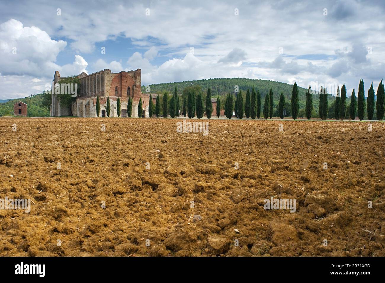 Abtei von San Galgano Stockfoto