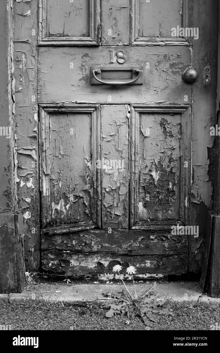 Verrottende Vordertür und Türrahmen zu einem viktorianischen Haus in Salisbury UK. Stockfoto