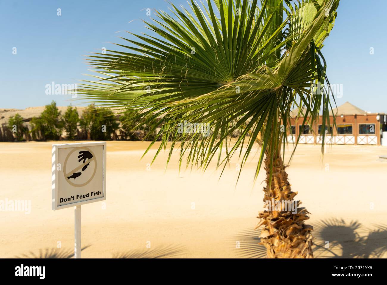 Fischteller nicht füttern, Einschränkung, Warnung, Sicherheitsaufkleber, Strandschild, Stockfoto