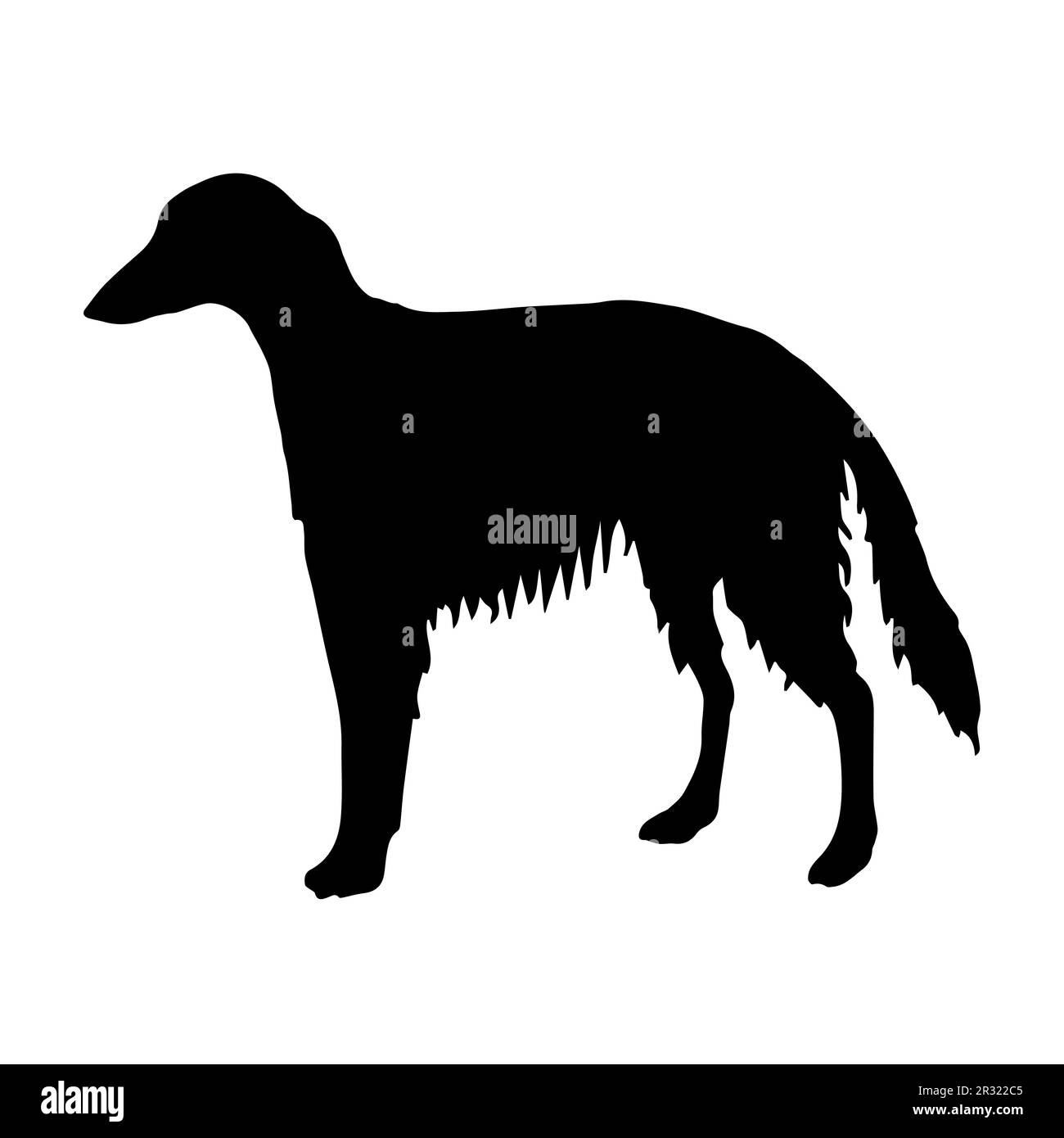 Von Hand gezeichnete russische Borzoi-Hundesilhouette isoliert auf weißem Hintergrund Stock Vektor