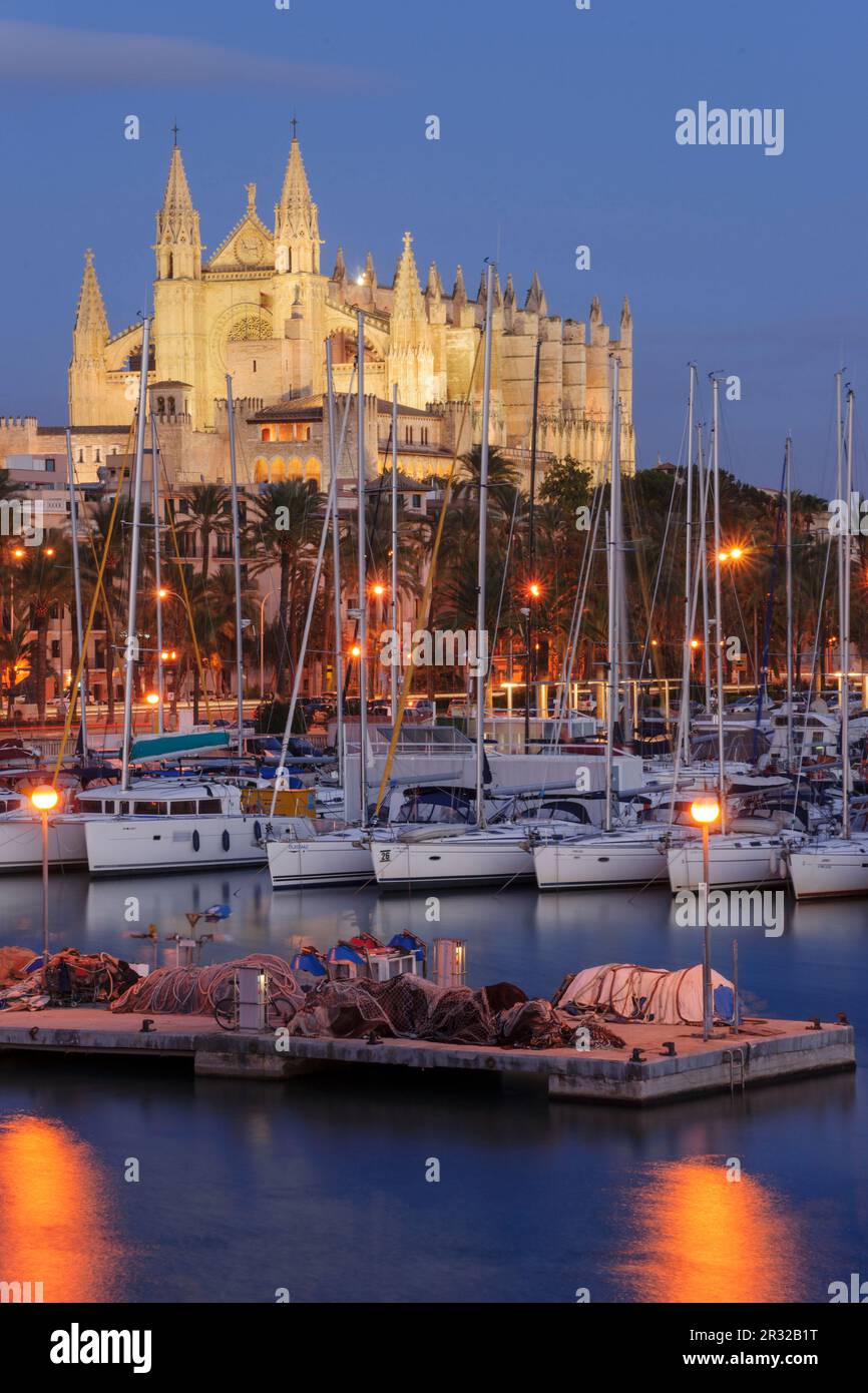 Kathedrale von Mallorca vom Pier der Riba , 13. Jahrhundert, historisch-künstlerisches Denkmal, Palma, mallorca, balearen, spanien, europa. Stockfoto