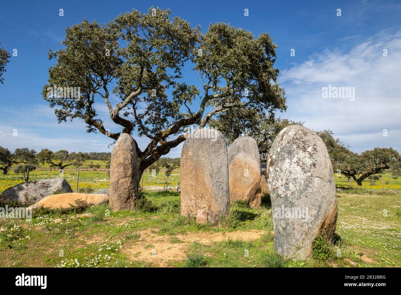 Cromlech Vale Maria do Meio, Nossa Senhora da Graça do Divor, Évora, Alentejo, Portugal. Stockfoto