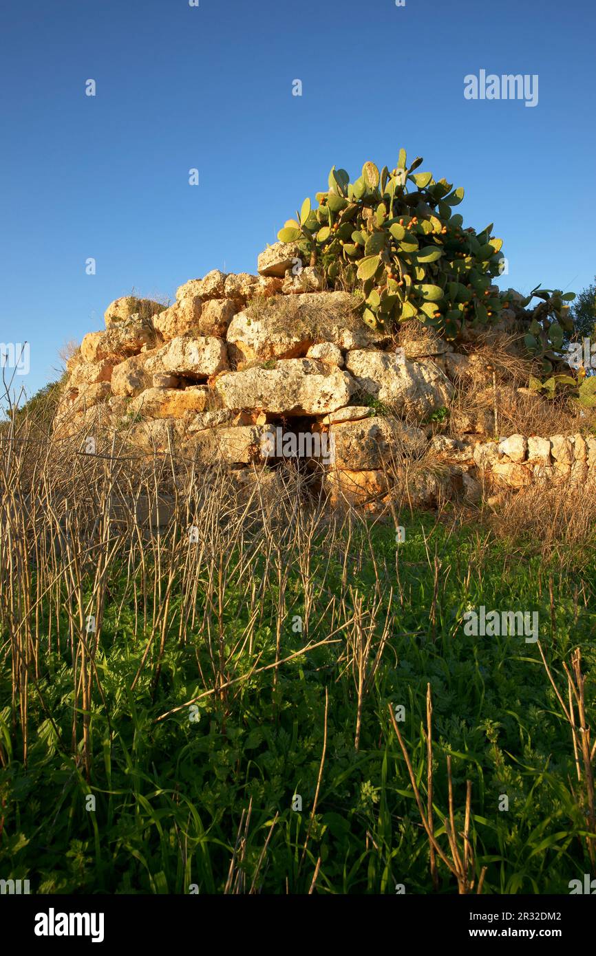 Talayot de Sa Talaya. Llucmajor. talaiótico (Edad de Bronce).. Mallorca Balearen. España. Stockfoto