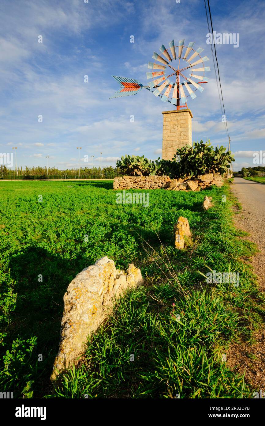 Molino de Agua, Es Pil. larí, Municipio de Palma de Mallorca, Mallorca, Balearen, Spanien, Europa. Stockfoto