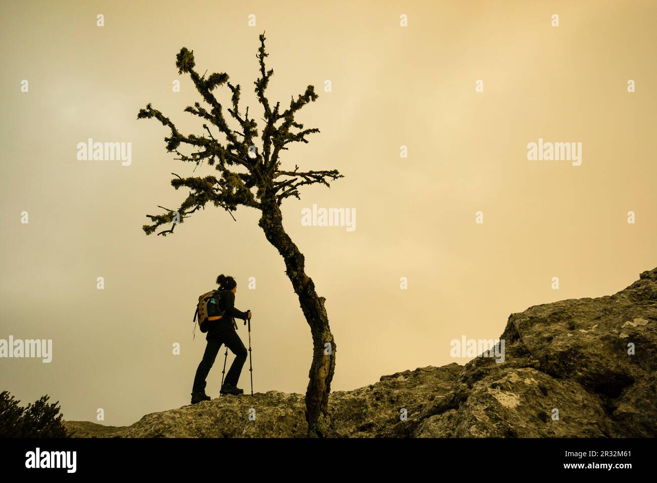 Puig de Sa Talaia Vella, 868 metros, Camino del Archiduque - Cami de Arxiduc, Sierra de Tramuntana, Mallorca, Balearen, Spanien, Europa. Stockfoto