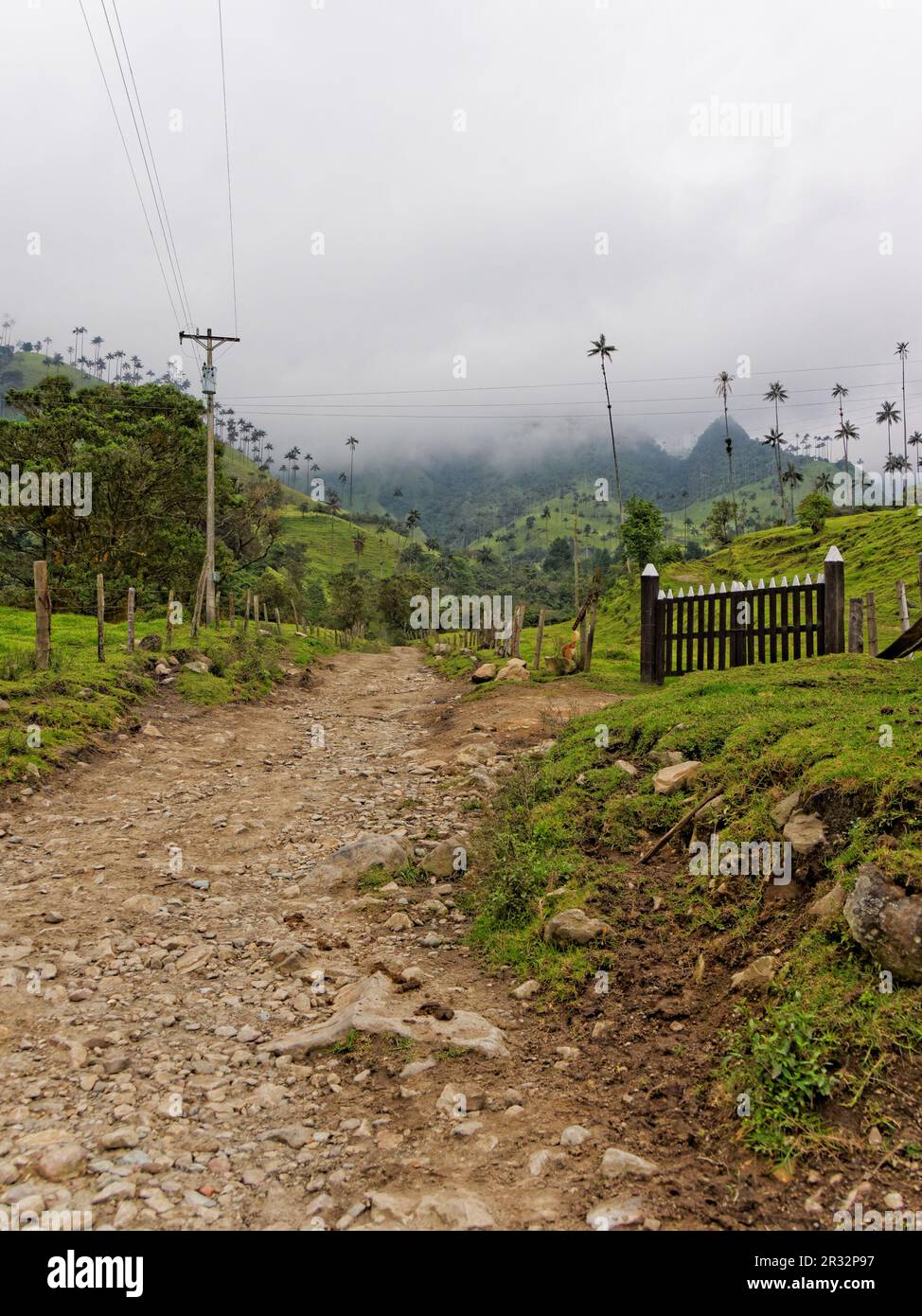 Cocora Valley, QuindÃ­o, Kolumbien Stockfoto