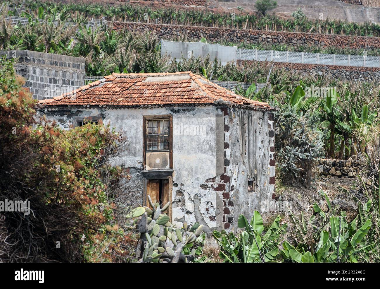 La Palma 2013 - Altes Haus Stockfoto