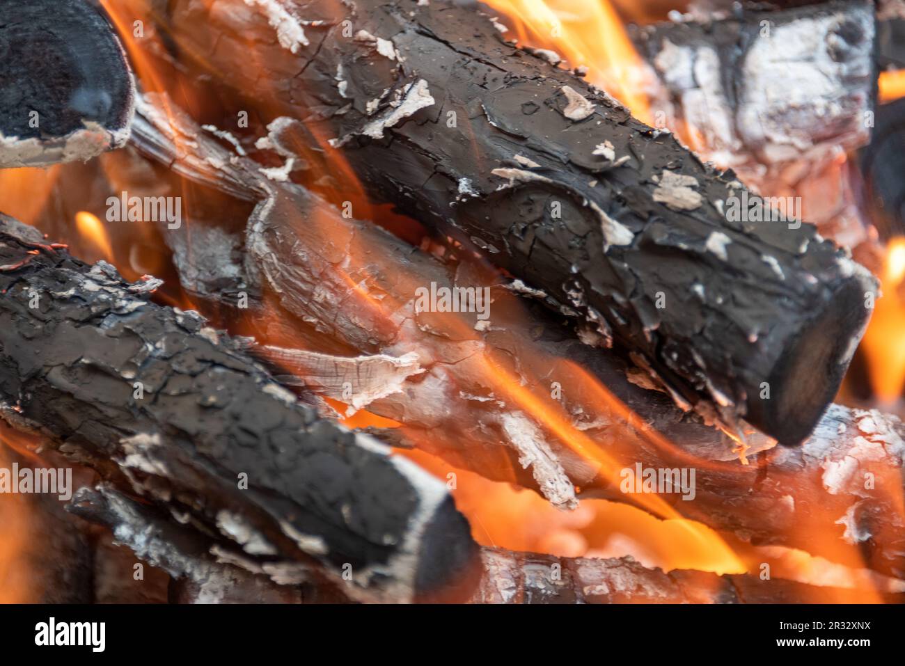 Nahfeuer auf Baumstämme in einem Lagerfeuer. Selektiver Fokus auf der Mitte des Rahmens. Lagerfeuer als Hintergrund. Stockfoto