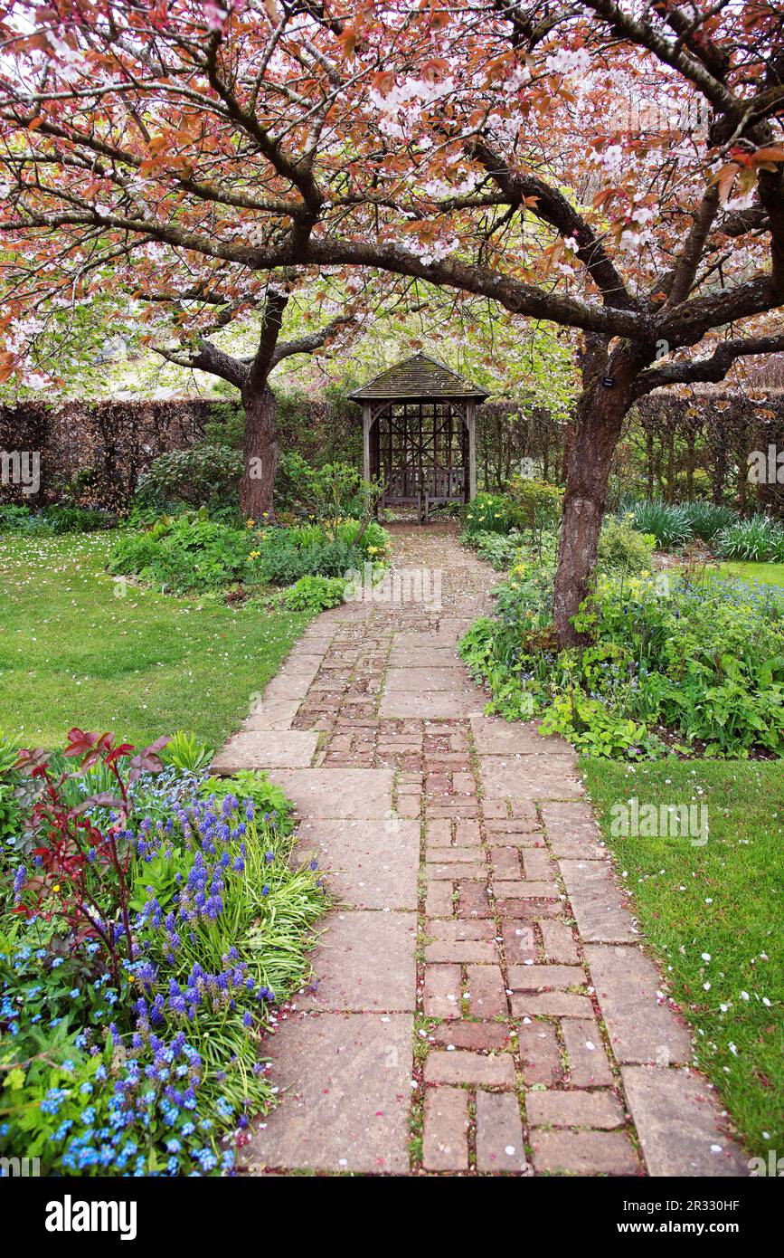 Barnsdale Blossom Stockfoto