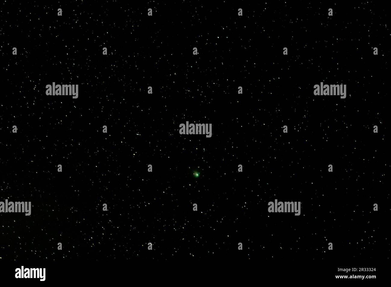 Vom 1. Bis 2. Februar 2023 näherte sich der seltene grüne Komet C/2022 E3 (ZTF) der Erde am nächsten. Dieses Comet-Bild wurde 2/2 um 05:50:22 UHR PST (UTC) aufgenommen Stockfoto