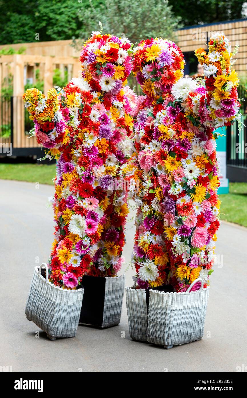 London, Großbritannien. 22. Mai 2023 Die „Bush Boys“ treten als Live-Topiartikunst im St. George „Aight Here“ Balcony Garden am Pressetag der RHS Chelsea Flower Show auf dem Gelände des Royal Hospital Chelsea auf. Die Show läuft bis zum 27. Mai 2023. Kredit: Stephen Chung / Alamy Live News Stockfoto