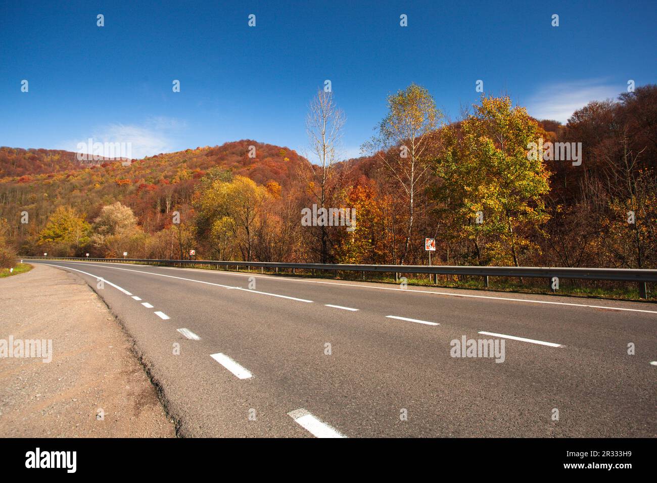 Herbst-Straße Stockfoto
