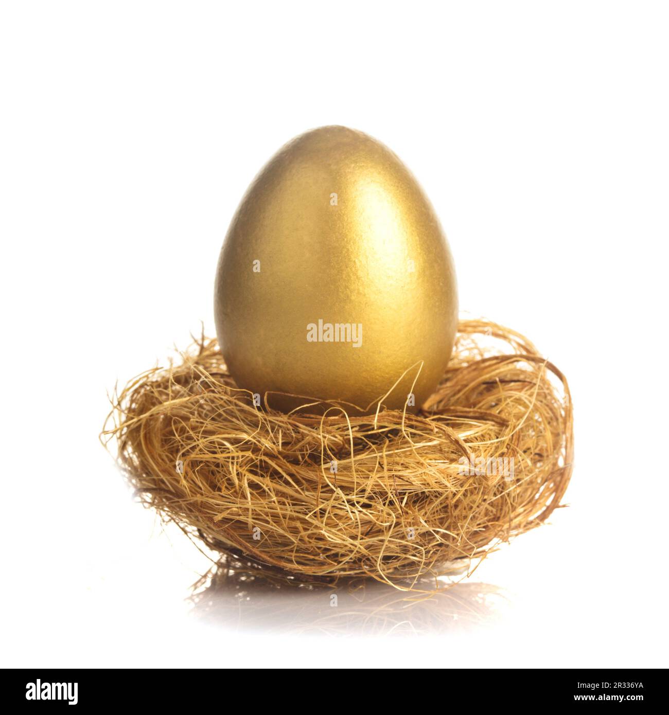 Goldenes Ei im nest Stockfoto