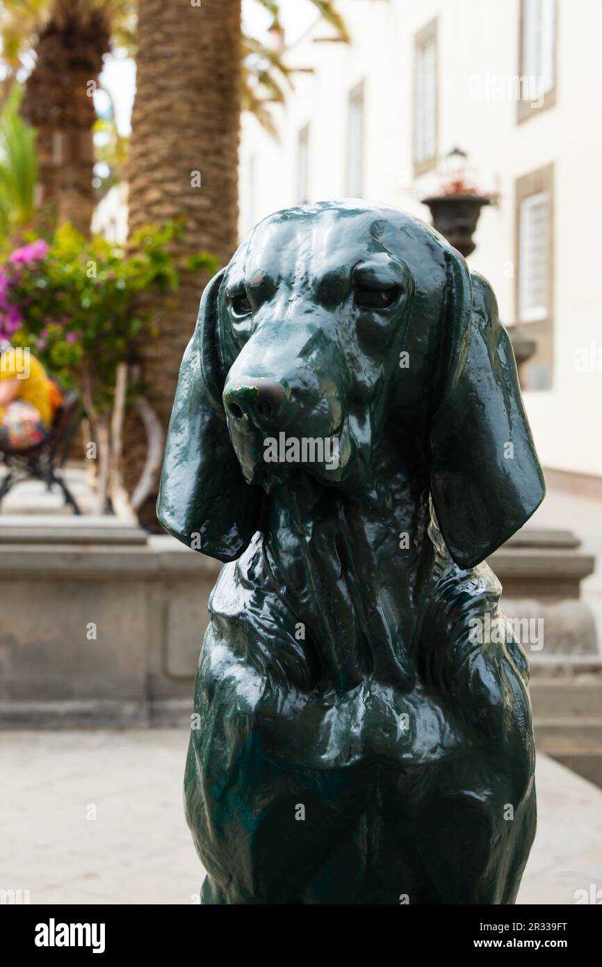 Green Dog Statue, Plaza Santa Ana, Las Palmas, Gran Canaria, Spanien. Canaria benannt nach Hunden, die auf der Insel gefunden wurden Stockfoto