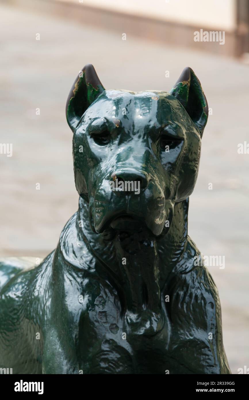 Green Dog Statue, Plaza Santa Ana, Las Palmas, Gran Canaria, Spanien. Canaria benannt nach Hunden, die auf der Insel gefunden wurden Stockfoto