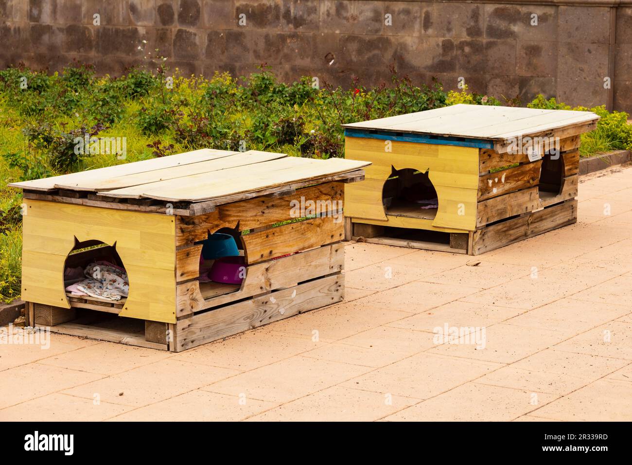 Häuser für streunende Katzen, geschützte Katzenkolonie, Parque del Castillo de la Luz. Las Palmas, Gran Canaria, Spanien Stockfoto