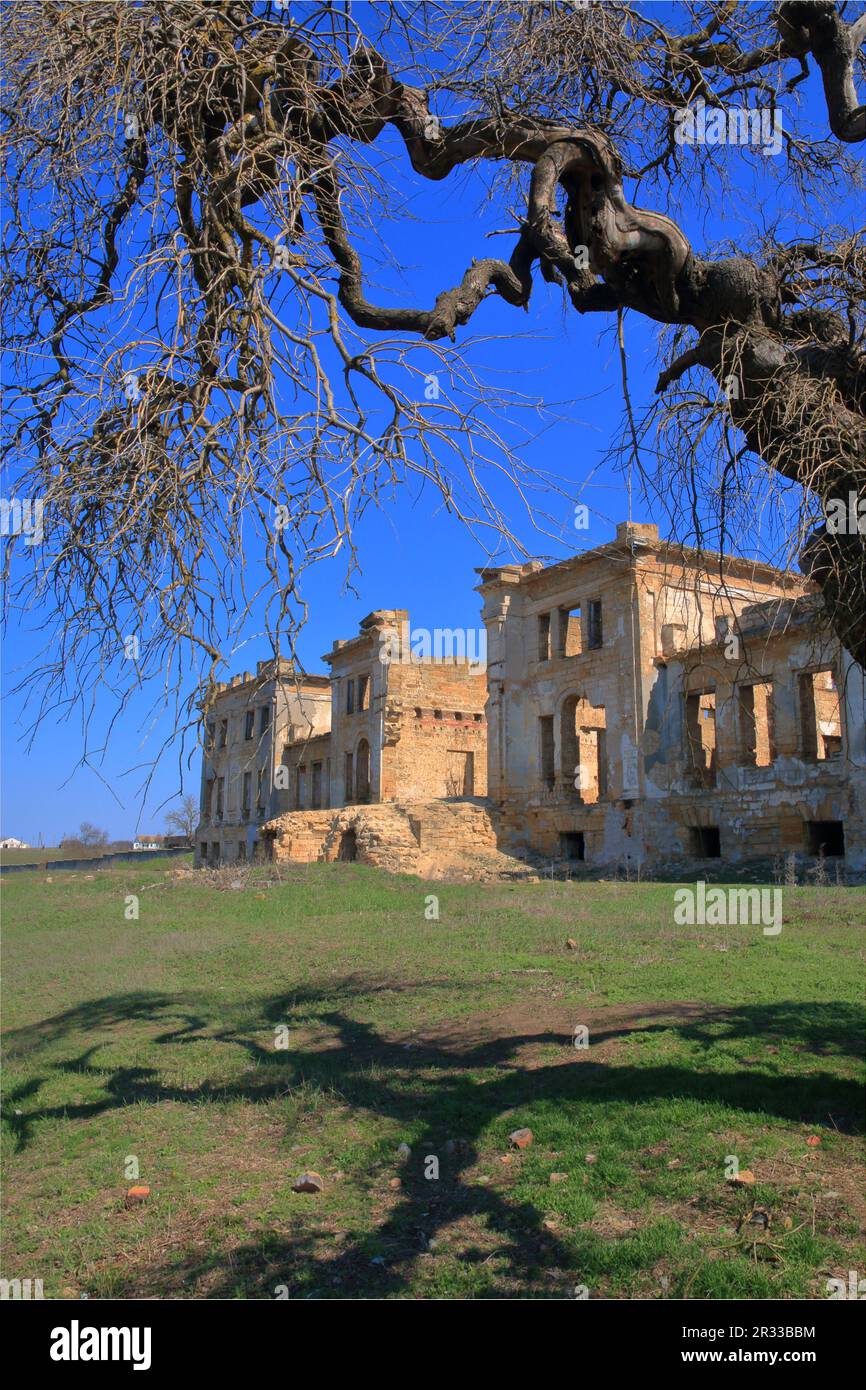 Das Foto zeigt die Ruinen des alten Palastguts der Dubetsky-Pankeyevs, die Wolfsschanze in der Odessa-Region, dem Dorf Wassiljewka. Stockfoto