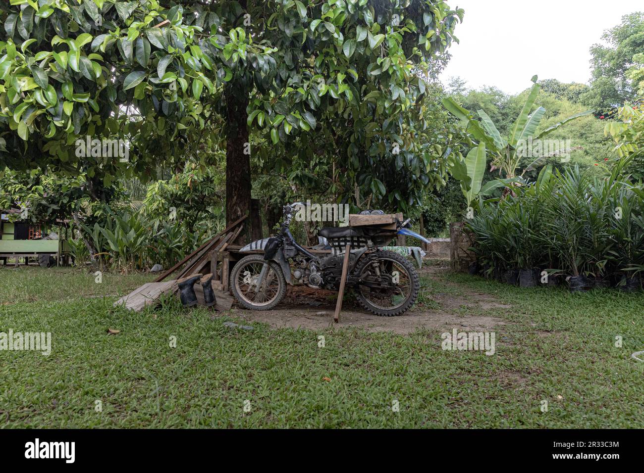 Unbeaufsichtigtes Motorrad in einem ländlichen Dorf in Tangkahan, Nordsumatra, Indonesien. Stockfoto