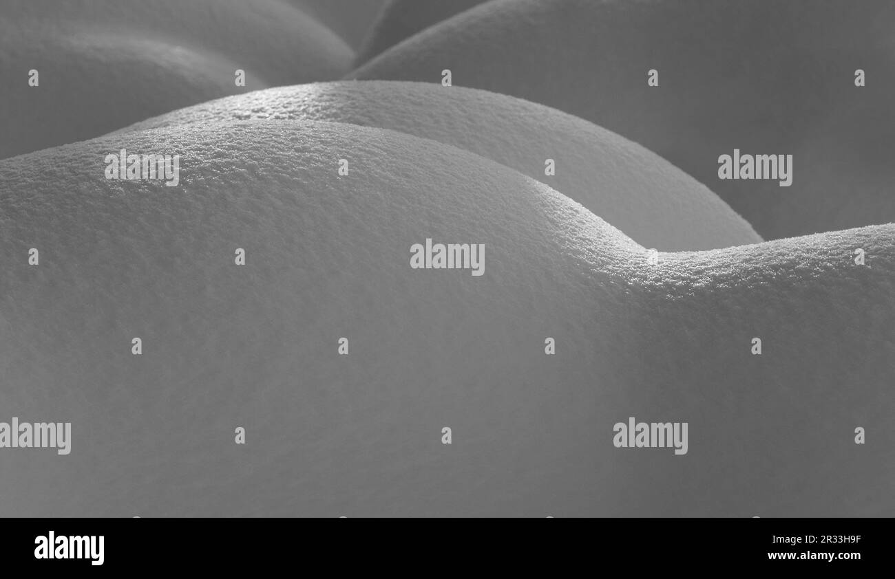 Weibliche Formen im Schnee Stockfoto