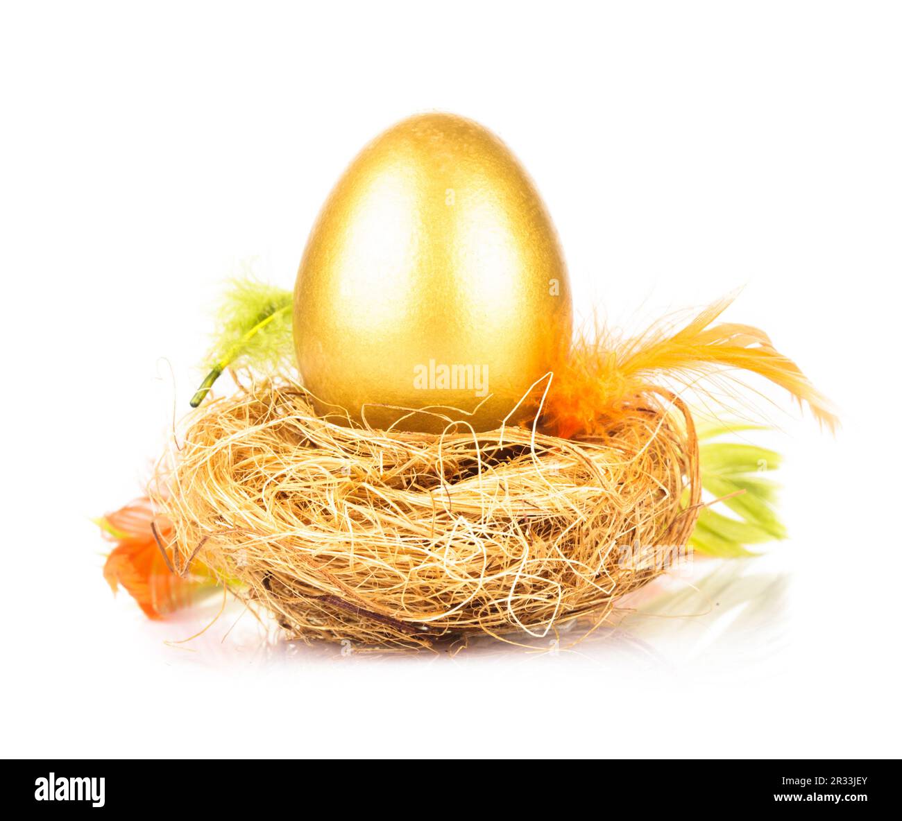 Goldenes Ei im nest Stockfoto