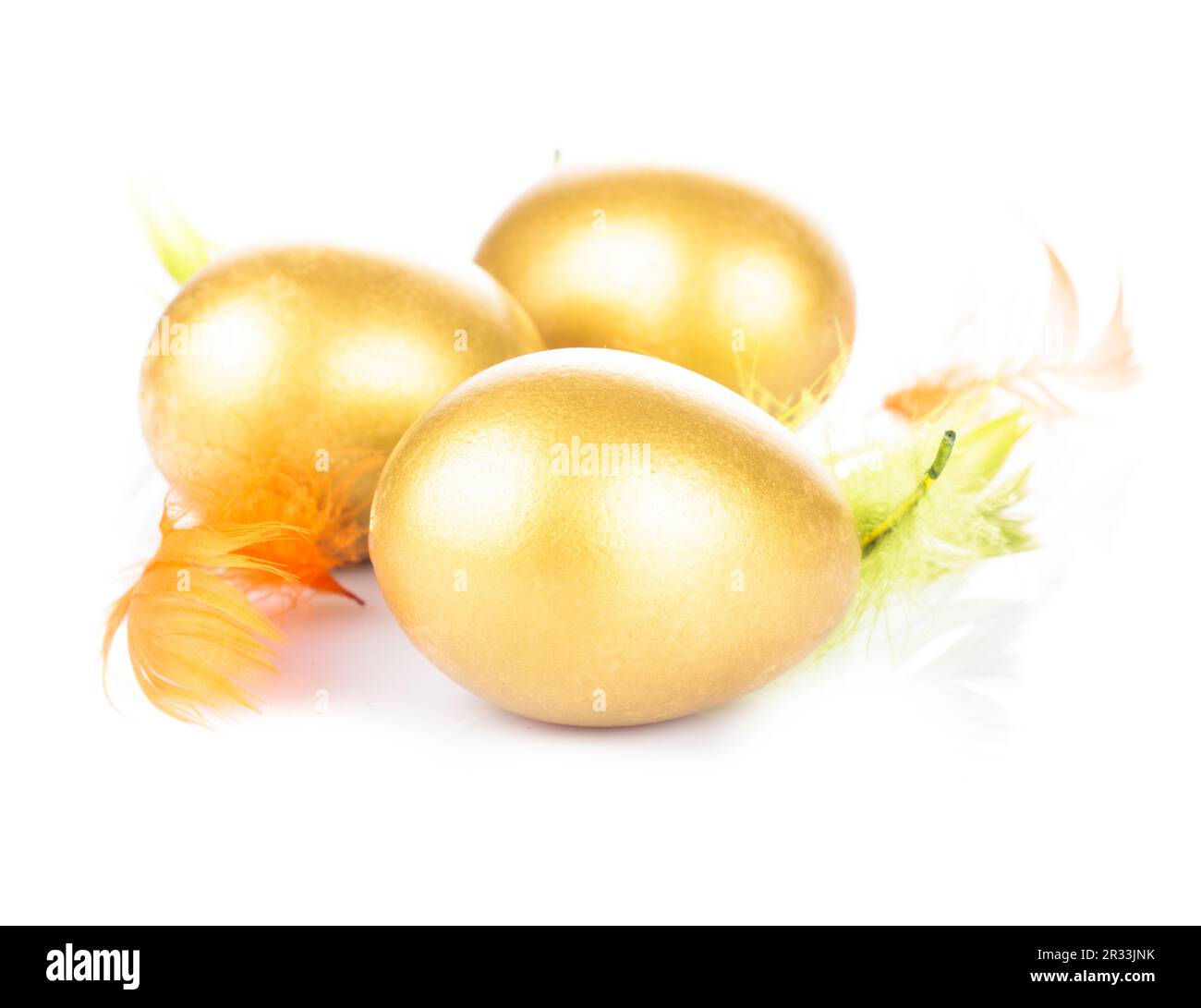 Goldenes Ei im nest Stockfoto