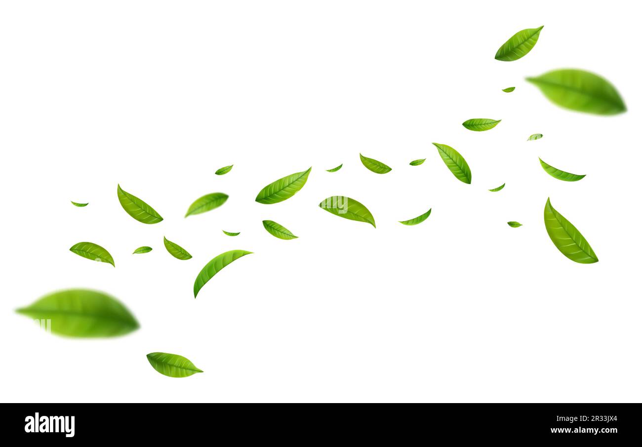 Realistische grüne Teeblätter in Bewegung Stock Vektor