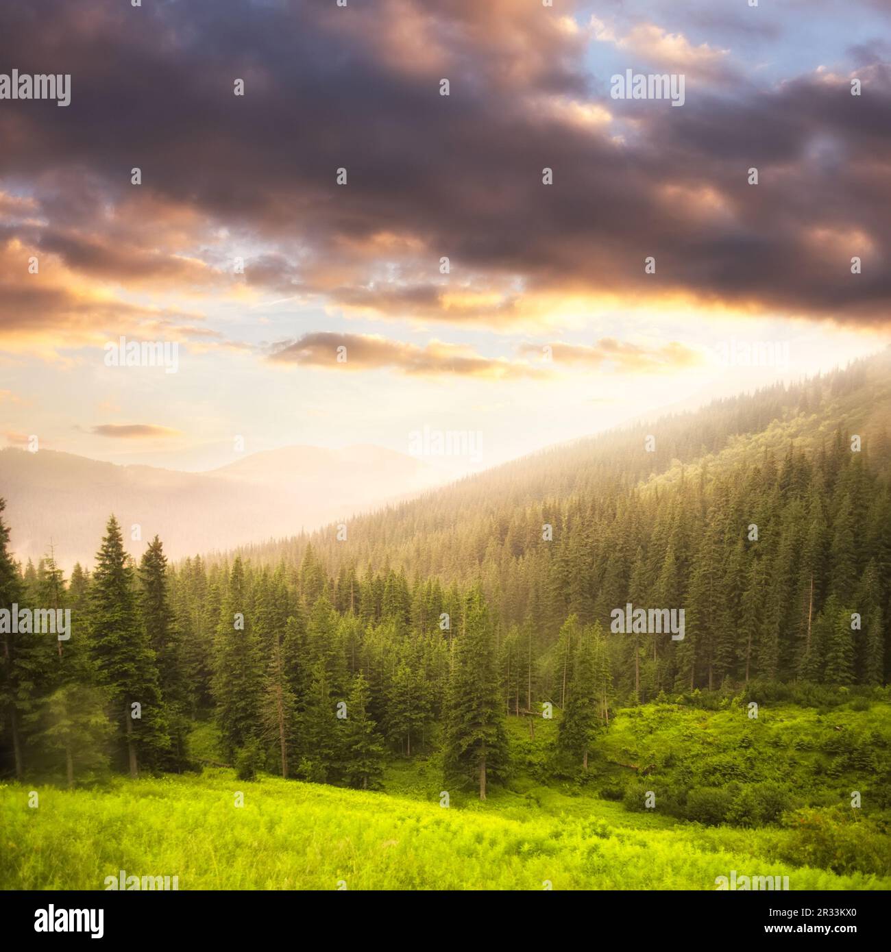 Landschaft mit Nebel Stockfoto