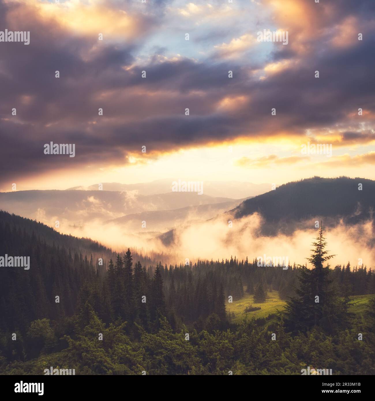 Landschaft mit Nebel Stockfoto