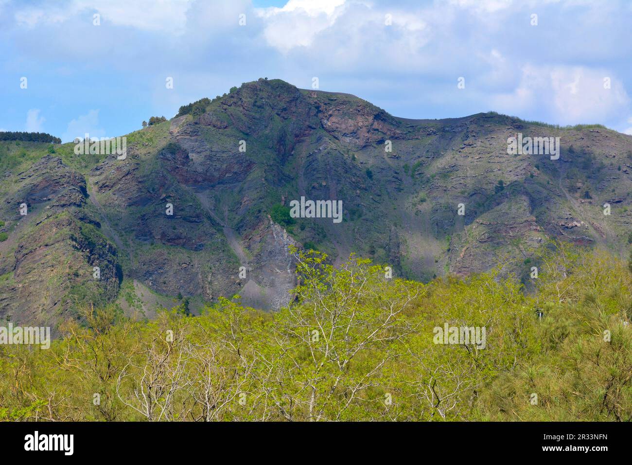 Vesuv-Nationalpark Stockfoto