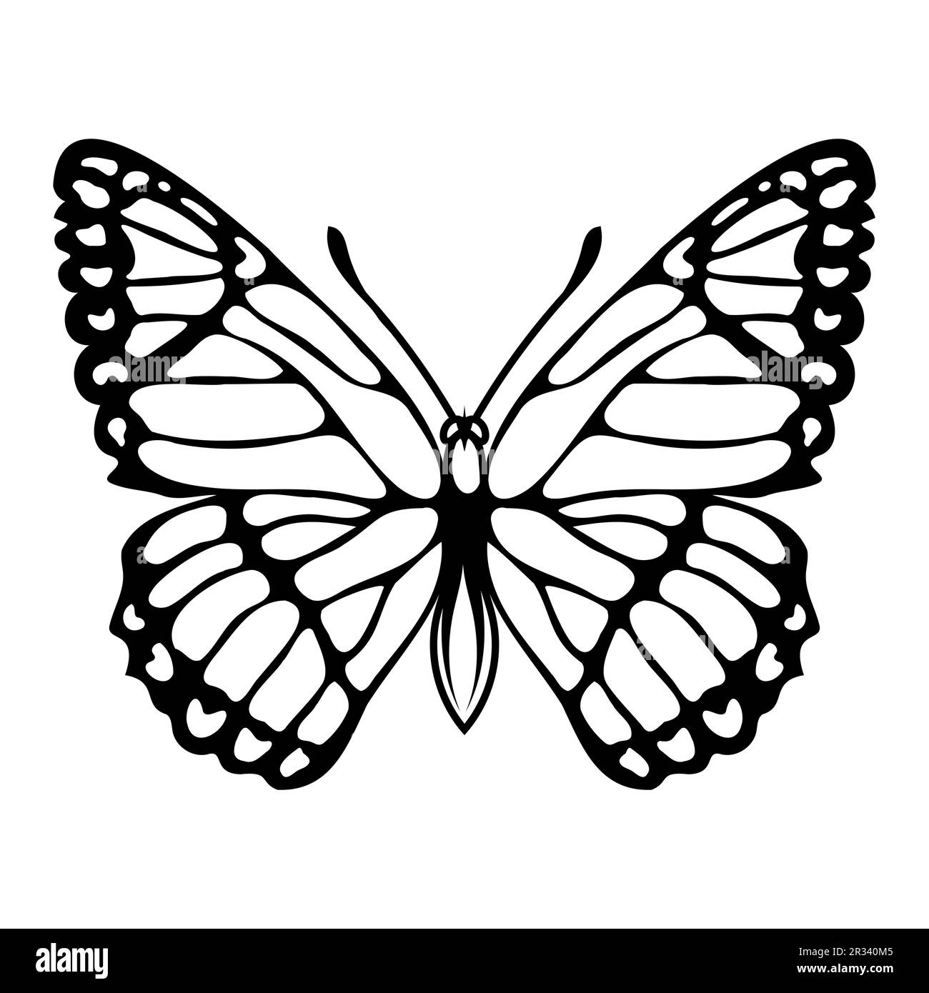 Schmetterling. Vektordarstellung eines skizzierten Nektar-fütternden Insekts. Wunderschöne Flügel, die mit mikroskopischen Skalen bedeckt sind. Stock Vektor