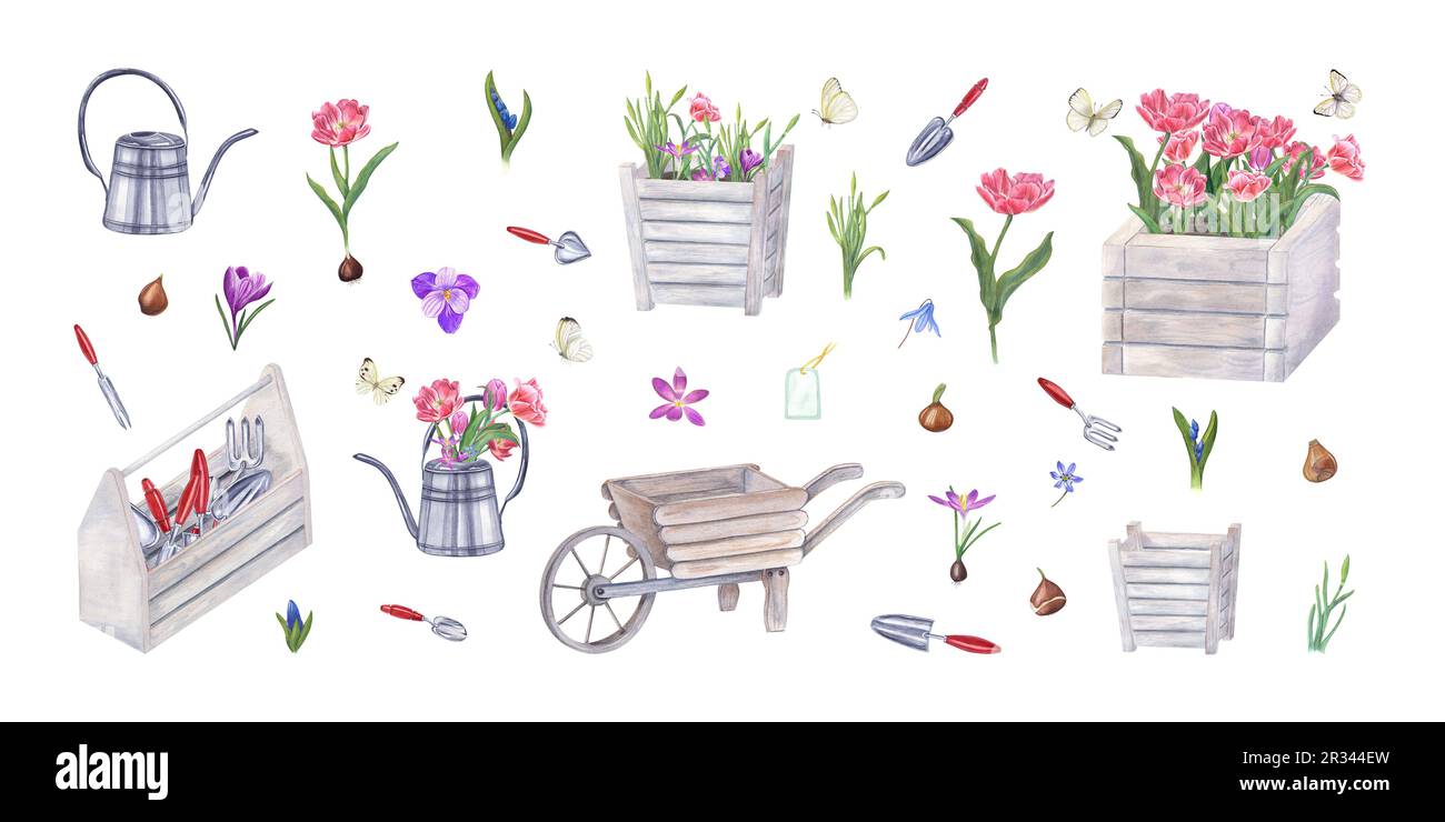 Aquarell-Set mit Gartengeräten, Blumen, Zwiebeln, Schmetterlingen, isoliert auf Weiß. Abbildung: Gießkanne, Holztöpfe, Schubkarre, Werkzeugkasten Stockfoto