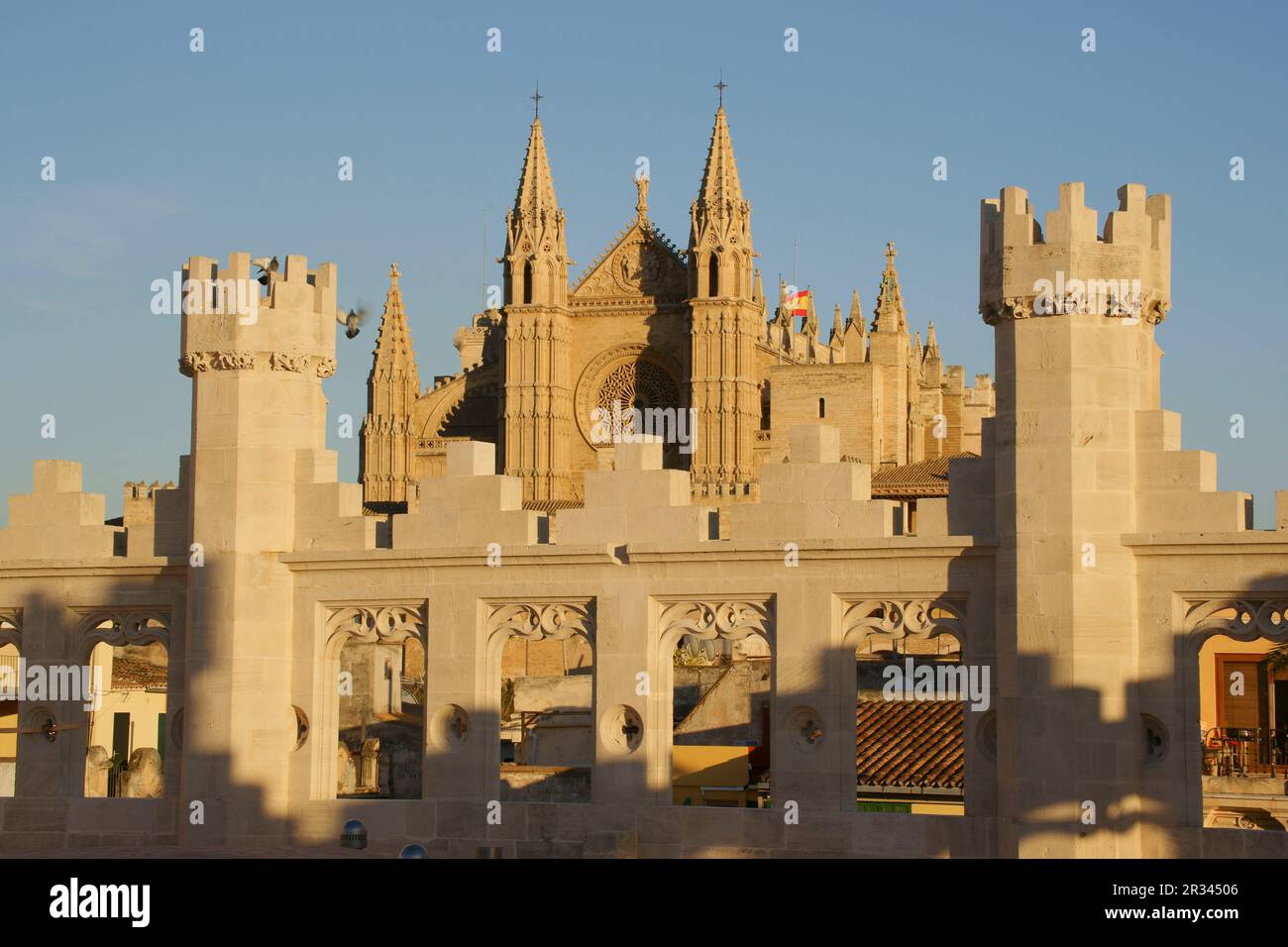 La Seo desde La Lonja. La Llotja, siglo XV Palma. Mallorca Islas Baleares. España. Stockfoto