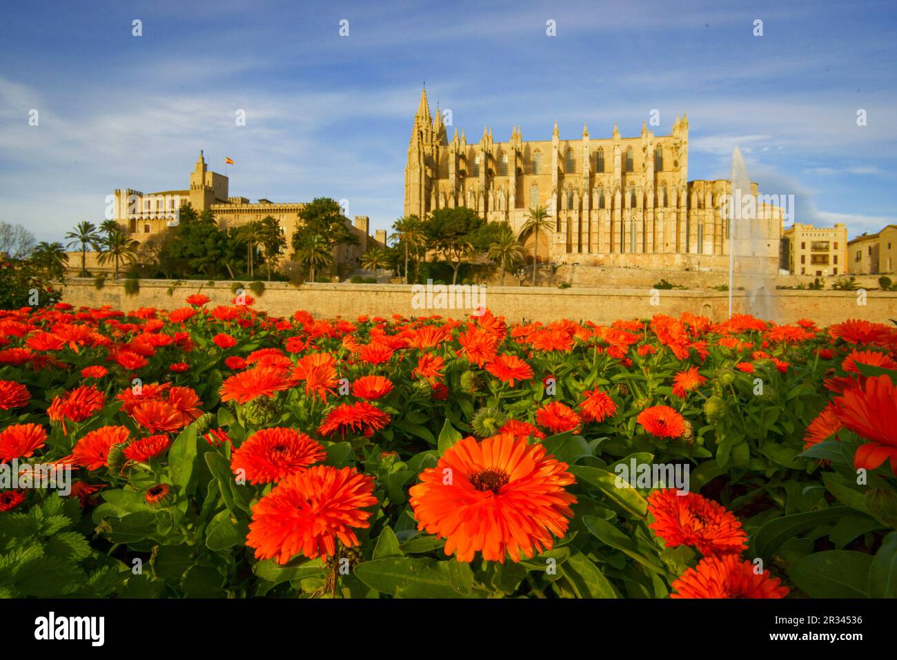 Kathedrale von Palma (La Seu)(s.XIV-XVI)Parque del mar.Palma.Mallorca.Baleares.Spanien. Stockfoto