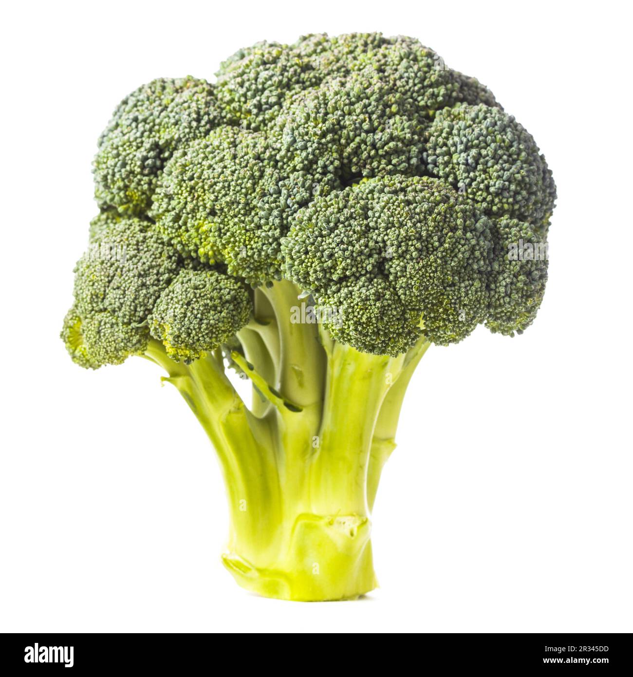 Grünen Brokkoli isoliert Stockfoto