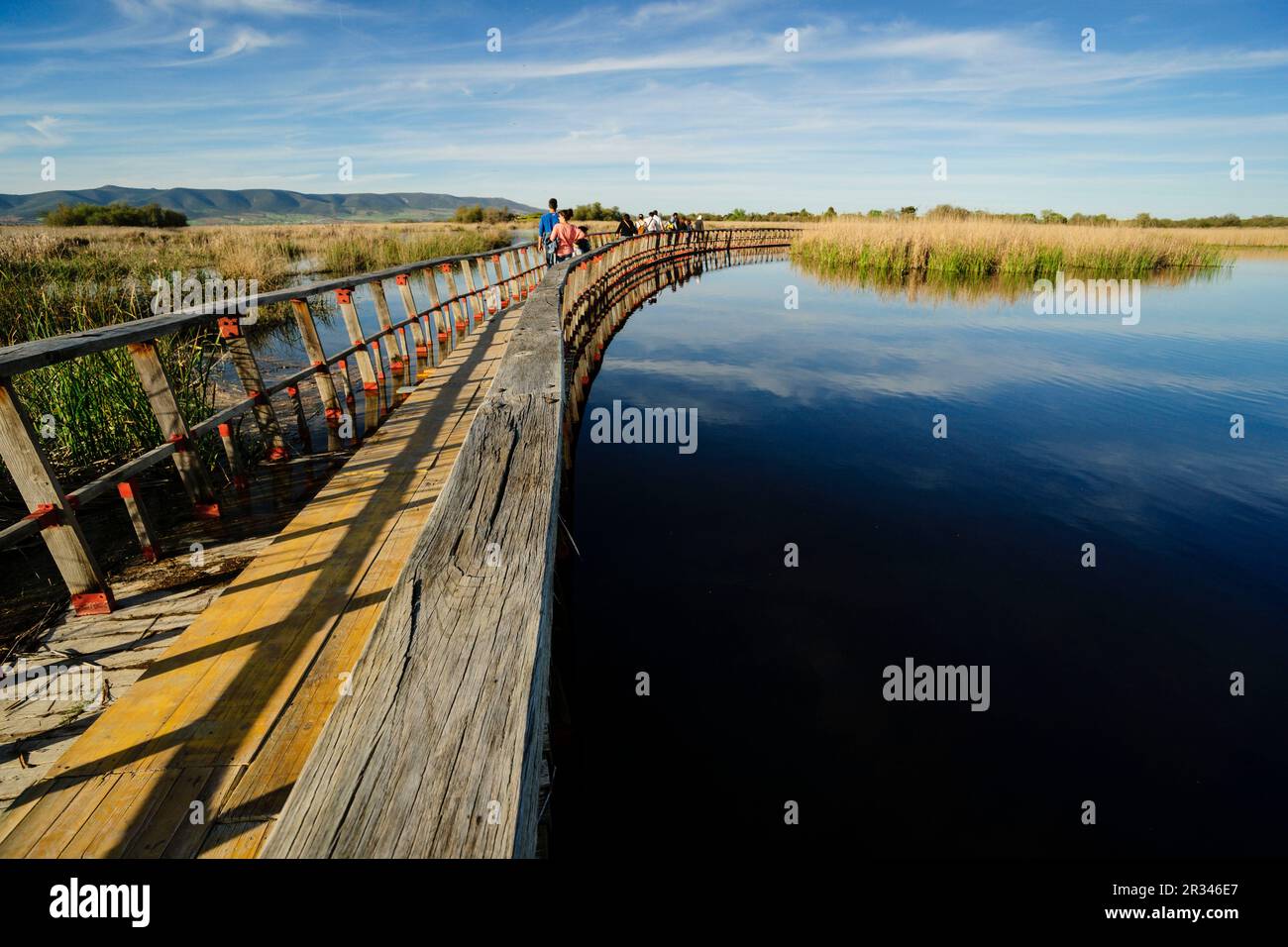 Parque Nacional Tablas de Daimiel, Ciudad Real, Kastilien-La Mancha, Spanien, Europa. Stockfoto