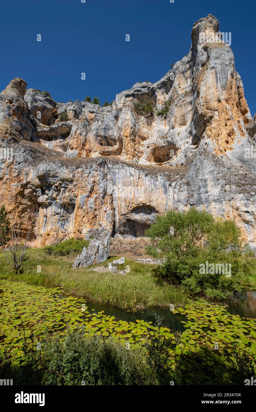 Zona de reserva Castillo Billido, Parque Natural del Cañón del Río Lobos, Soria, Comunidad Autónoma de Castilla, Spanien, Europa. Stockfoto