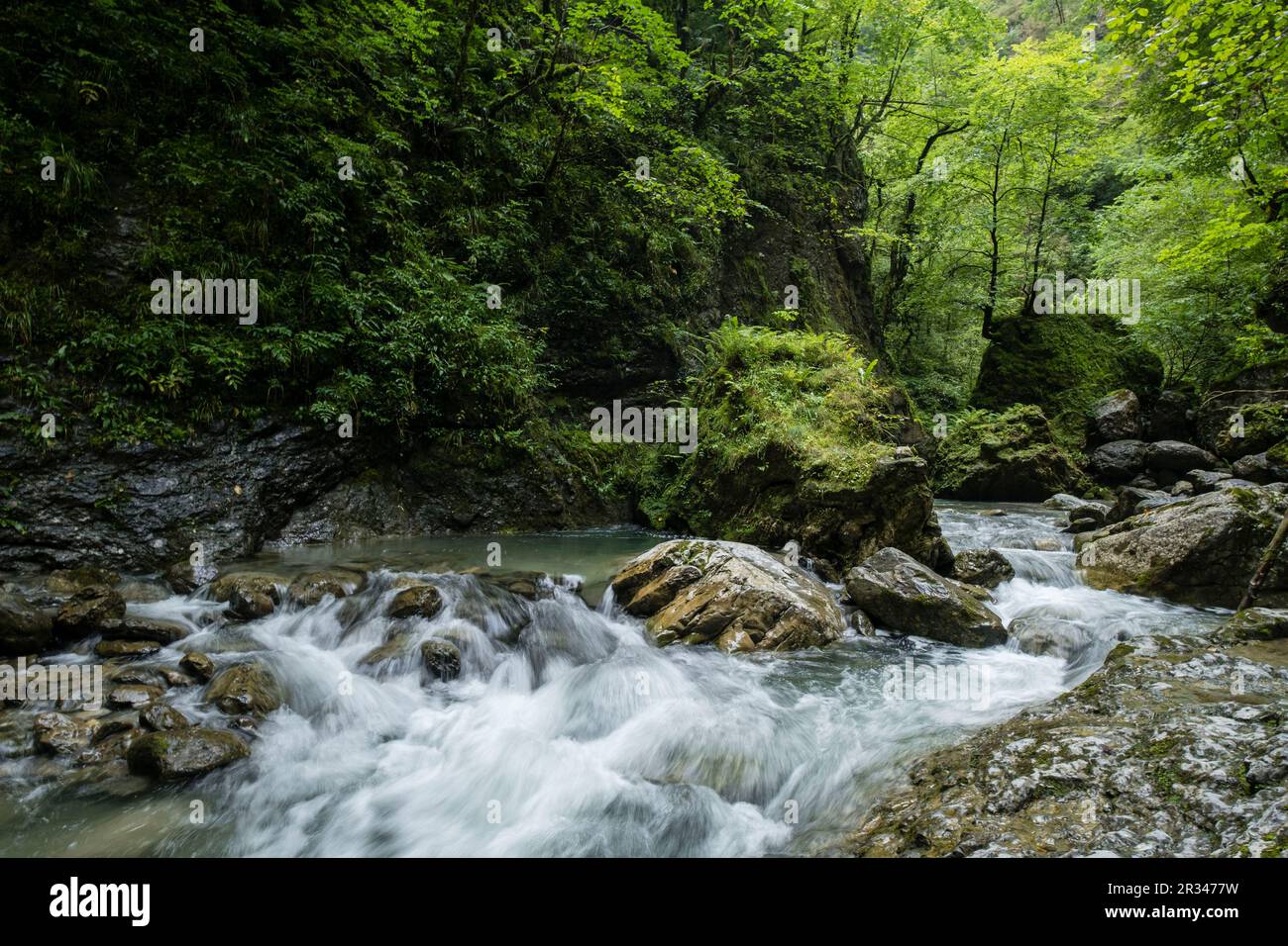 Garganta de Kakueta, Sainte-Enak<unk>, región de Aquitania, departamento de Pirineos Atlánticos, Francia. Stockfoto