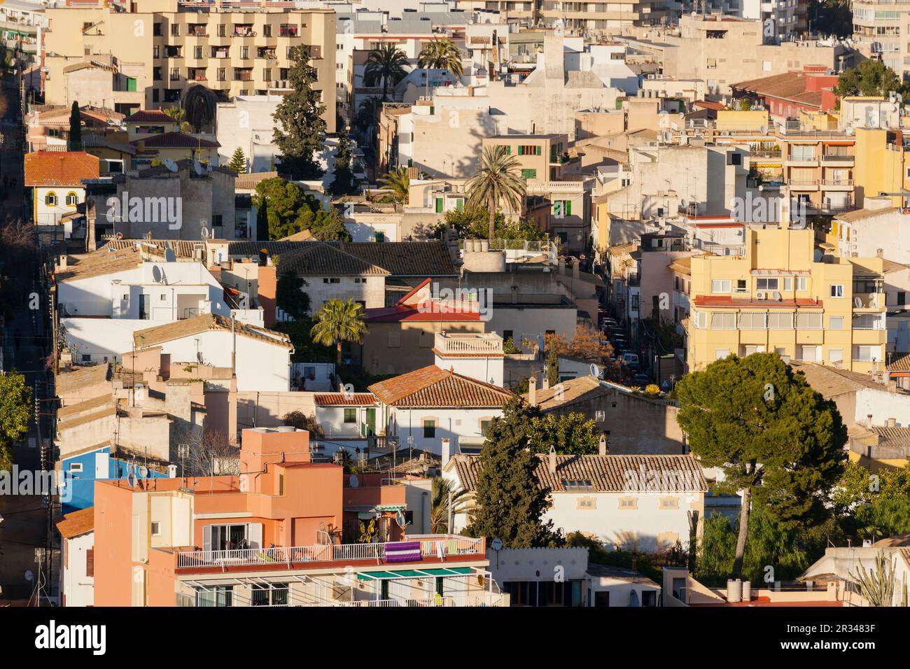 Barrio de El Terreno y Puerto de Palma, Distrito de Poniente, Palma de Mallorca, Balearen, Spanien, Europa. Stockfoto