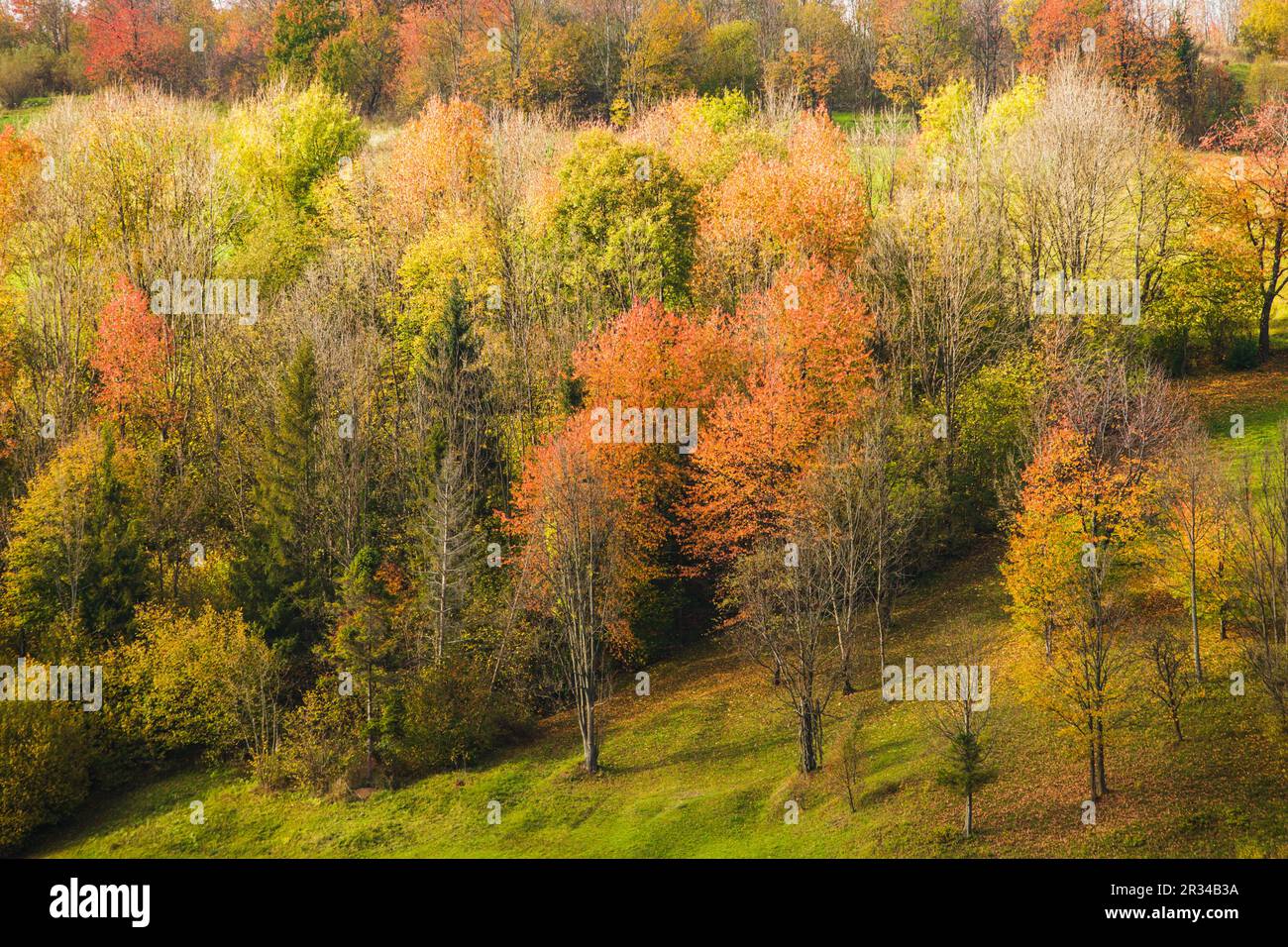 Herbstliche Landschaft Stockfoto