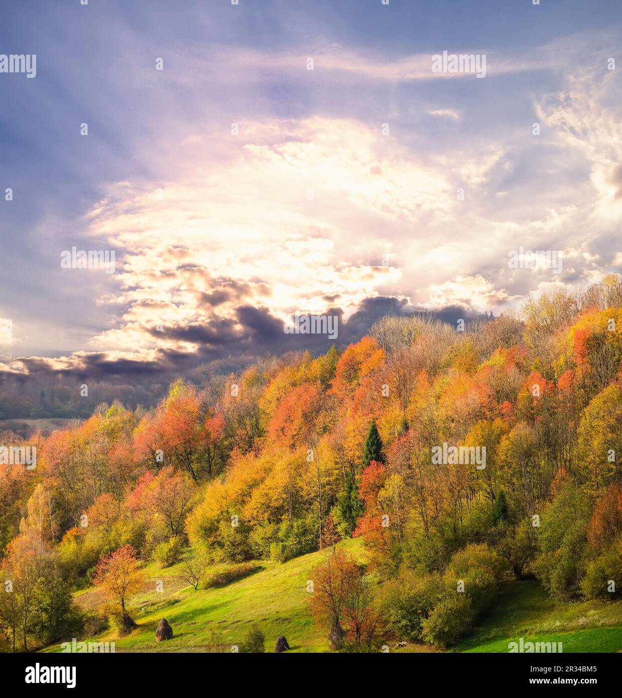 Herbstliche Landschaft Stockfoto