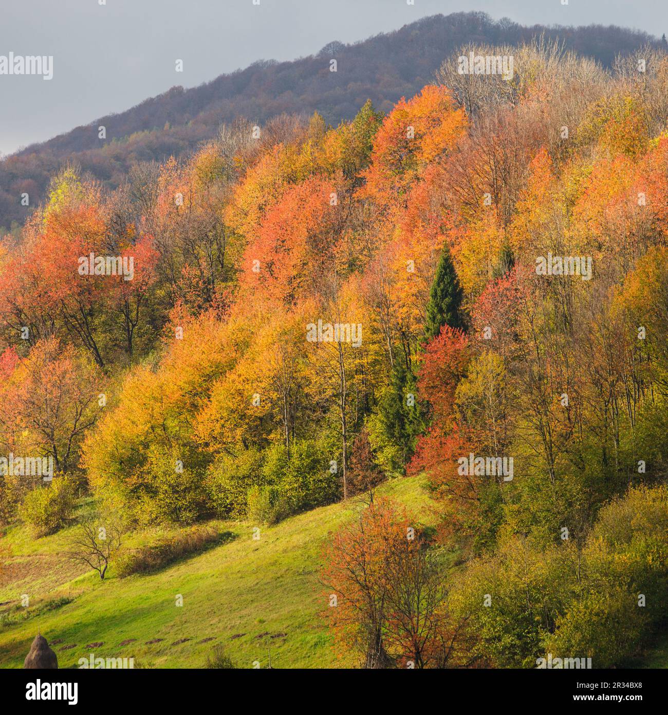 Herbstliche Landschaft Stockfoto