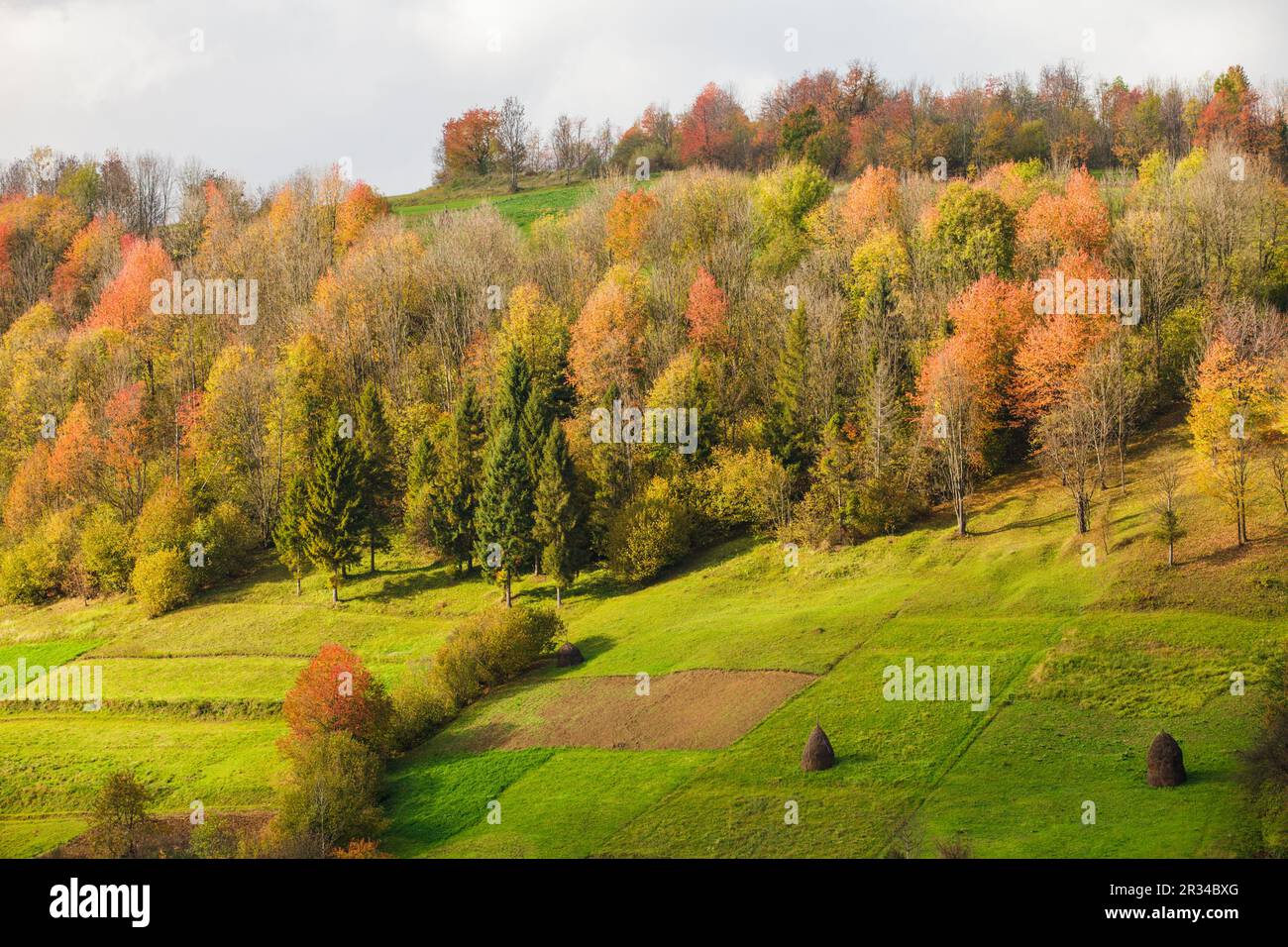 Herbstliche Landschaft Stockfoto