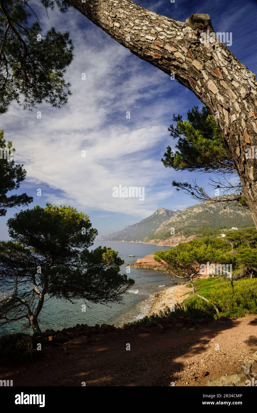 playa de Son Bunyola, Banyalbufar. Parque natural de la Sierra de Tramuntana. Mallorca. Die Balearen. Spanien. Stockfoto